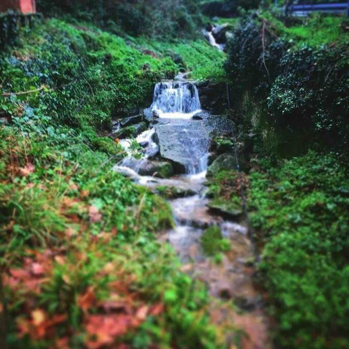 Uno Spazio Di Relax In Toscana Buti Exterior foto