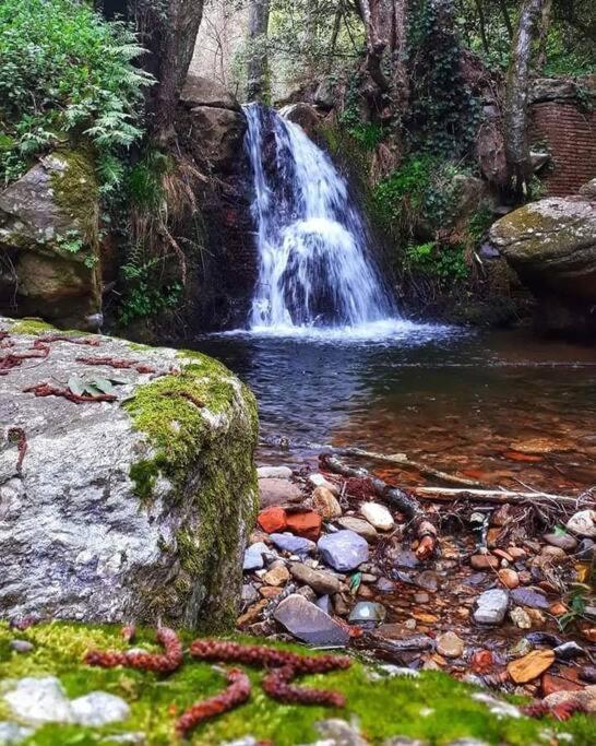 Uno Spazio Di Relax In Toscana Buti Exterior foto